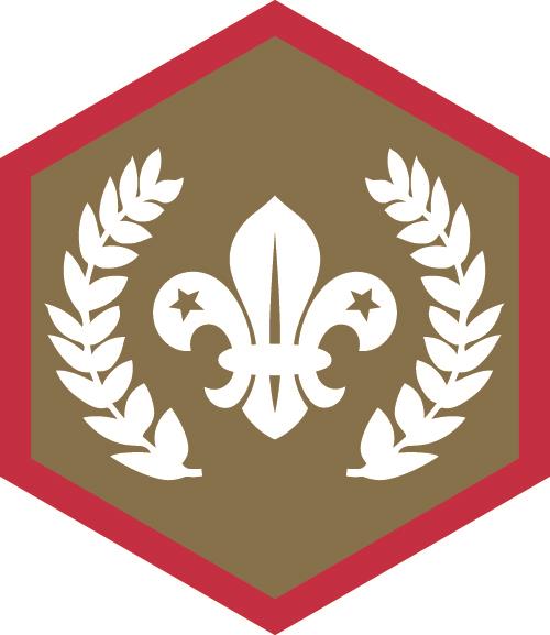 Chief Scouts Gold Award